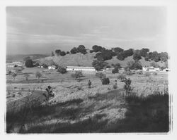 Horse barn and corral on Community Health Association property at 2759 Bennett Valley Road, Santa Rosa, California, 1963