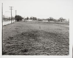Looking east towards Mendocino Avenue near Steele Lane, Santa Rosa, California, 1958