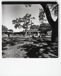 Doyle Center, Santa Rosa, California, 1972