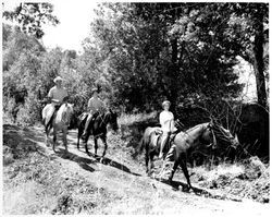 Horseback riding at the Vineyard Club