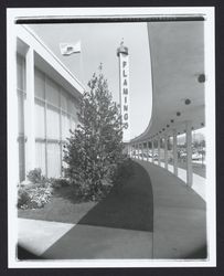 Portico of the Flamingo Hotel, Santa Rosa, California, 1958