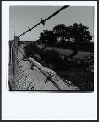 Mark West Creek north of Guerneville Road, Santa Rosa, California, 1975