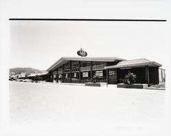 Lee Brothers grocery store in Montecito Shopping Center, Santa Rosa, California, 1967