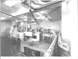 Processing dairy products at Petaluma Cooperative Creamery, Petaluma, California, 1963