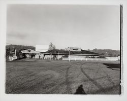 Village Drive-in Theatre, Santa Rosa, California, 1959