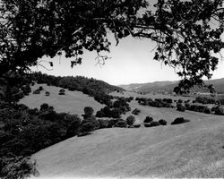 Oak trees and meadows at Oakmont before building began, Santa Rosa, California, 1962