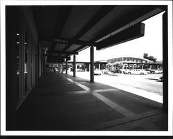 St. Francis Shopping Center, Santa Rosa, California, 1968