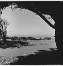 Views of Sea Ranch, Sea Ranch, California, 1971