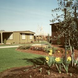 Mobile homes at Valle Vista Mobile Home Park