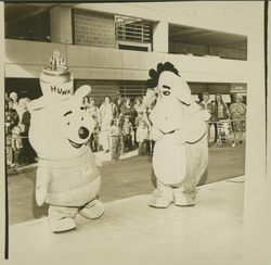 Tigger, Eeyore and Winnie the Pooh at Sears ribbon cutting for new Santa Rosa Plaza store, Santa Rosa, California, 1980