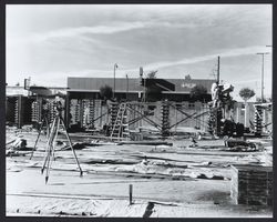 Erecting walls of the Library, Santa Rosa, California, 1965