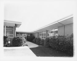 Petaluma, California, City Hall, , 1959