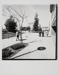 East side of Courthouse Square, Santa Rosa, California, 1977