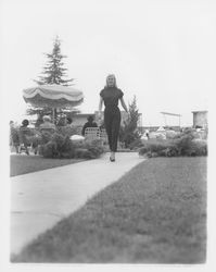 Leopard print top and black leisure pants modeled at the Sword of Hope fashion show at the Flamingo Hotel, Santa Rosa, California, June 18, 1960