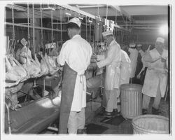 Workers and chicken carcasses at the California Poultry, Incorporated, Fulton, California, 1958