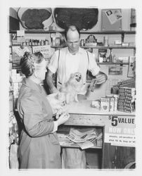 Pet shop with a display of Slivers dog food, Santa Rosa, California, 1964