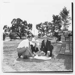 Three men looking at plans for the Tanglewood subdivision, Santa Rosa, California, 1971