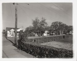 Street scene in the Junior College area, Santa Rosa, California, 1958