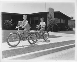 Chris and Jeff Peck riding their bicycles, Santa Rosa, California, 1957