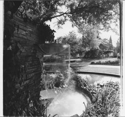 Fountain at Burbank Gardens, Santa Rosa, California, 1970