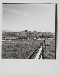 Palace of Fruit, Penngrove, California, 1977