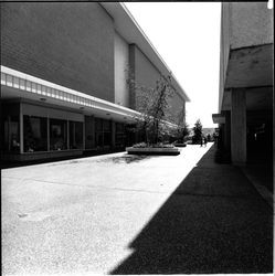 Exterior scenes at Coddingtown Shopping Center, Santa Rosa, California, May 26, 1971