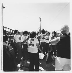 Bank of Marin goat milking team and supporters in Bank of Marin T-shirts watching a rodeo on Farmers' Day at the Sonoma-Marin Fair, Petaluma, California, 1978