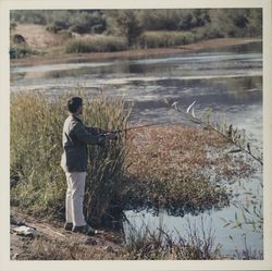 Fishing at Spring Lake, Santa Rosa, California, 1970