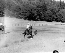 Rodeo at Palamino Lakes