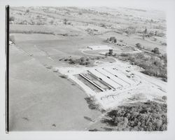 Redwood Ranch, Windsor, California, 1964