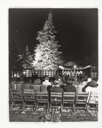 Tree lighting ceremony, Santa Rosa, California, 1961