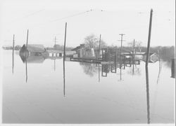 Flood scenes in Sebastopol, California, 1940