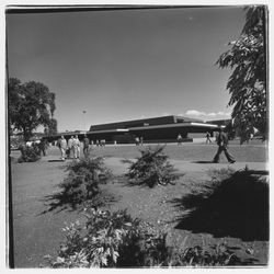 Plover Library, Santa Rosa, California, 1971