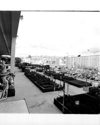 Garden shop at K-Mart discount department store on opening day