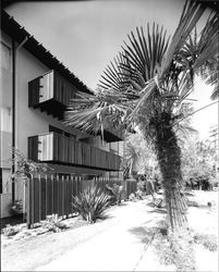 Exterior views of the Creekside Park Apartments, Santa Rosa, California, 1965