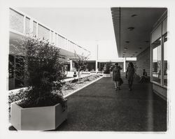 Coddingtown Shopping Mall, Santa Rosa , California, 1967