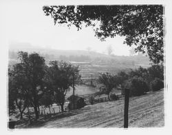 Corral and buildings on Community Health Association property at 2759 Bennett Valley Road, Santa Rosa, California, 1963