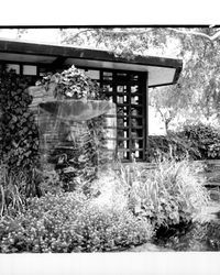 Fountain and waterfall at Luther Burbank Gardens