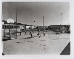 Playing volley ball at El Portal Mobile Estates, Santa Rosa, California, 1965