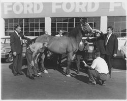 Bishop-Hansel Ford--we will trade anything, Santa Rosa, California, 1963