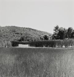 Lakeside view of Lake Ilsanjo