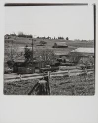 Walt Wilson Trucking, Petaluma, California, 1977