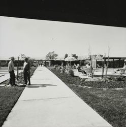 Walkway between pool and shuffleboard area at Pueblo Serena Mobile Home Park, Sonoma, California, about 1971