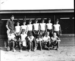 Unidentified Little League teams, Santa Rosa, California, 1960