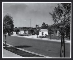 View of homes on Saint Francis Road, Santa Rosa, California, 1968