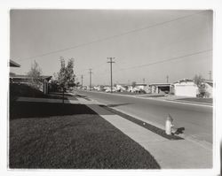 Pacific Avenue, Santa Rosa, California, 1958