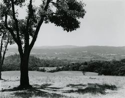 View of the surrounding area from a ridge at Palomino Lakes, Cloverdale, California, 1962