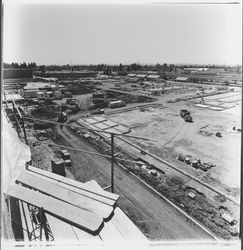 Beginning construction on Santa Rosa Plaza, Santa Rosa, California, 1981