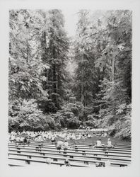 Armstrong Redwood Theater, Guerneville, California, 1967