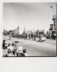 Gravenstein Cub Scout Pack 27 in Apple Blossom Parade, Sebastopol, California, 1978